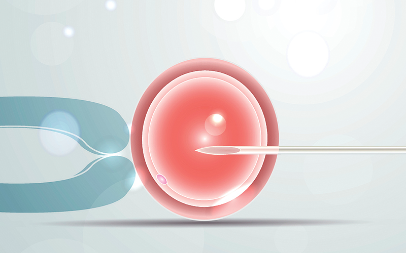 胎儿在正常范围内