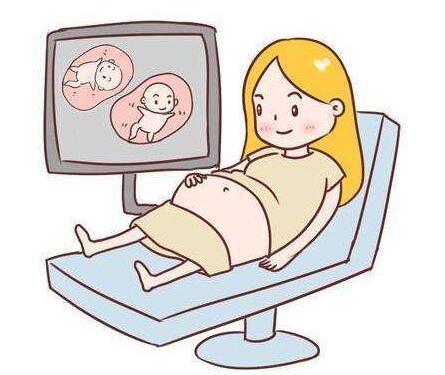 胎儿发育周数对照表