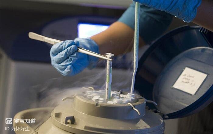 胎儿增长最快时期