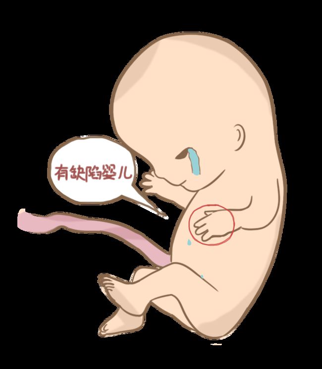 胎儿三个月的样子