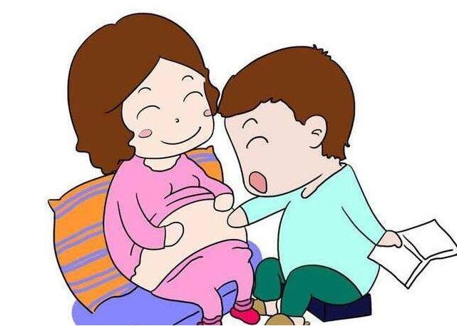 胎儿前3个月发育