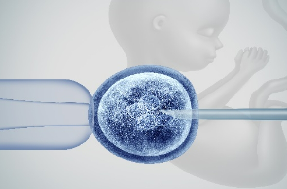 胎儿孕期发育标准表