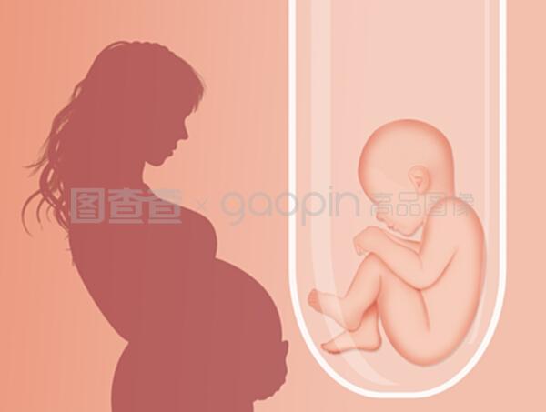 胎儿发育周数对照表