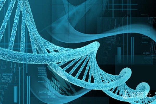 胎儿各周发育标准值对照表