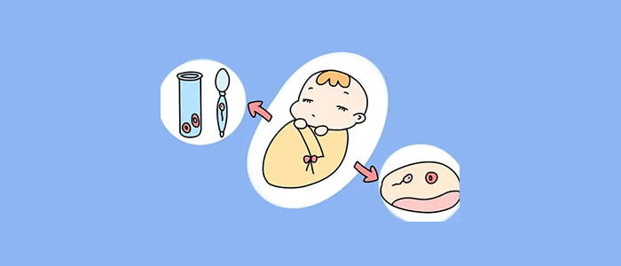 胎儿大小标准对照表