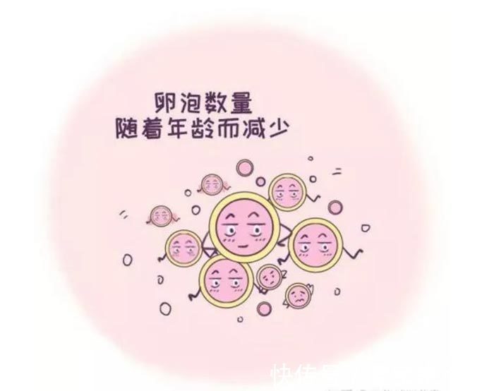 怀孕胚胎大小对照表