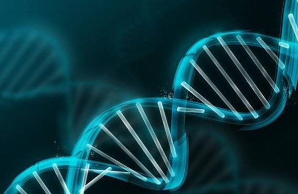 天津试管婴儿多少钱