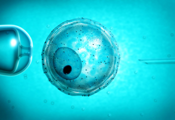 天津试管婴儿取卵